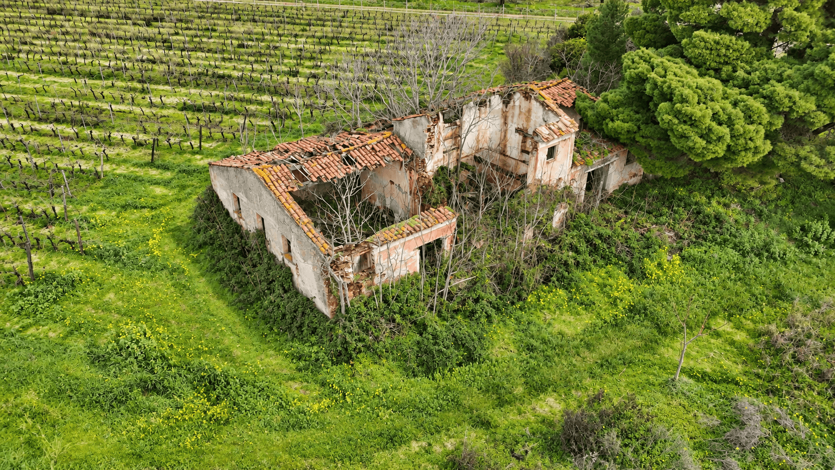 Terreno con rudere