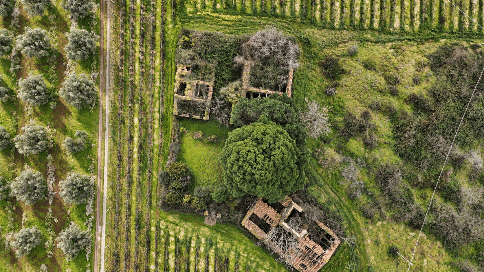 Terreno edificabile proposto da Dimora Romano