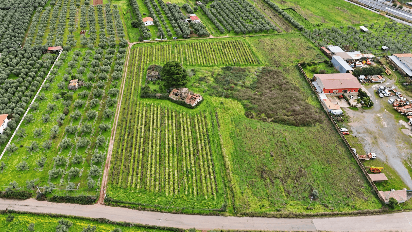 Terreno agricolo proposto da Dimora Romano
